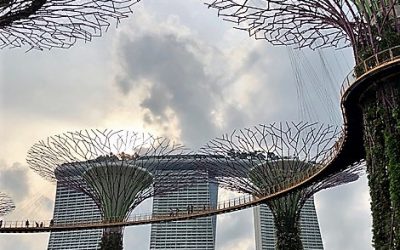 Gardens from the sea: How Reclaiming Land Changed Singapore’s Waterfront