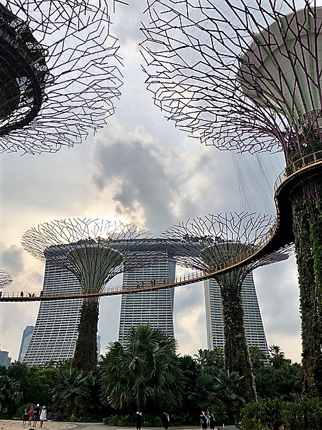 Gardens from the sea: How Reclaiming Land Changed Singapore’s Waterfront